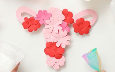 Les phases du cycle menstruel et leur impact sur la peau