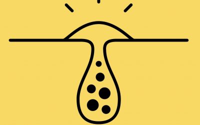 Les fluctuations hormonales influencent les glandes sébacées ?