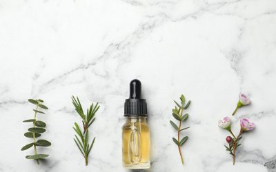 Précautions et utilisations de l’huile de Tea Tree (arbre à thé) pour l’acné