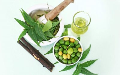 Huile de neem : antibactérienne puissante, idéale pour les imperfections