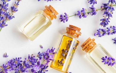 Lavande vraie : apaisante, purifiante, et idéale pour les peaux à imperfections