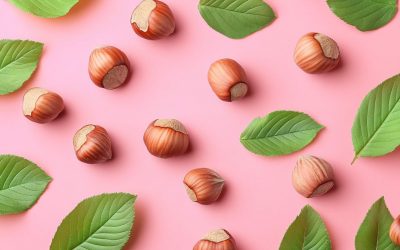 Huile de Noisette : Légère, Non-Comédogène et Séborégulatrice