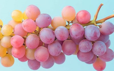 Huile de Pépins de Raisin : Légère, Riche en Antioxydants et Astringente